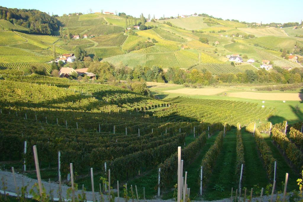Farm Jarc Vineyard