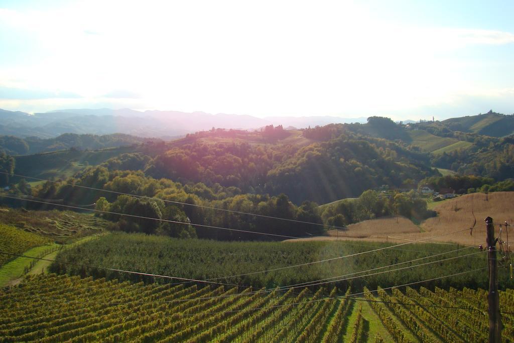 Farm stay Farm Jarc Vineyard *