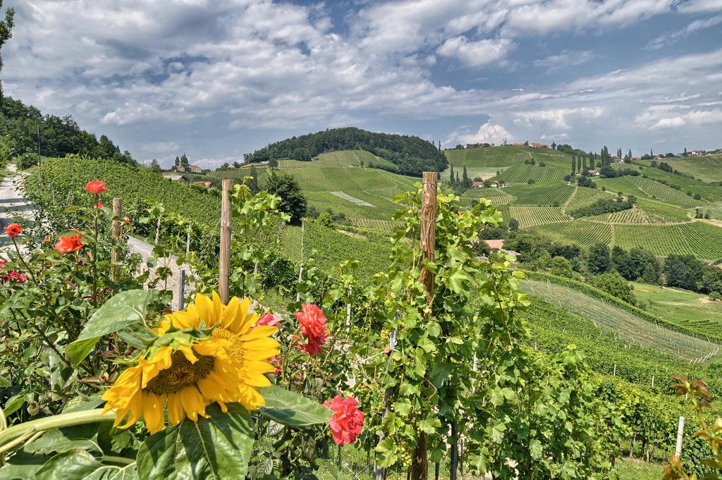 Farm stay Farm Jarc Vineyard *